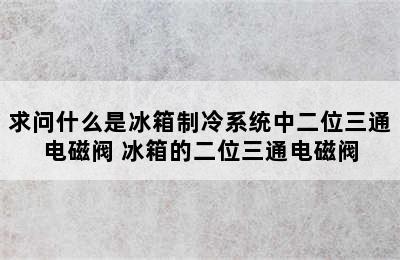 求问什么是冰箱制冷系统中二位三通电磁阀 冰箱的二位三通电磁阀